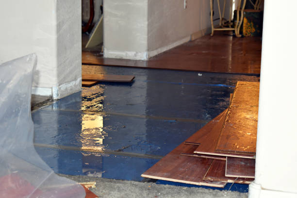Professional Water Damage Restoration technician working in Lanham, MD